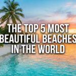 A featured image for a blog post titled "THE TOP 5 MOST BEAUTIFUL BEACHES IN THE WORLD," showcasing a tropical beach at sunset with palm trees lining the white sand, turquoise ocean water, and a colorful orange and pink sky.