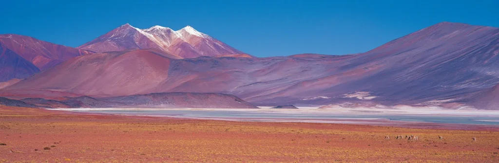 Desert