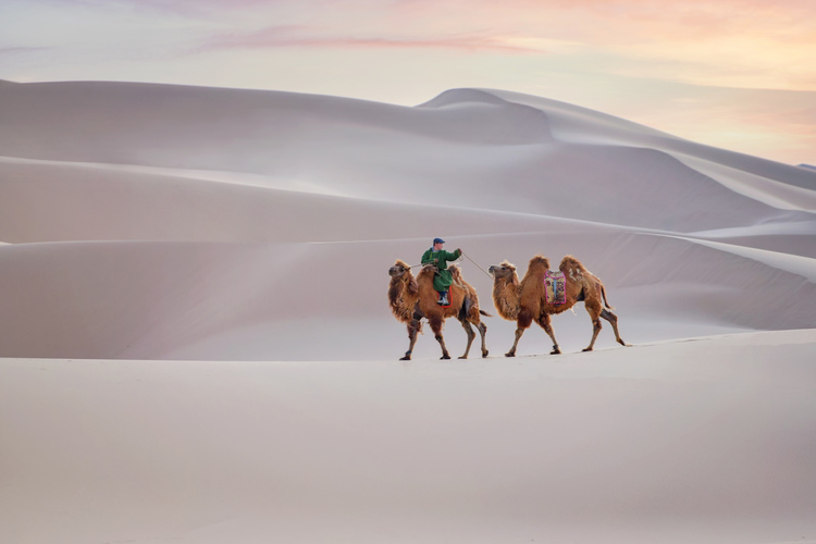 Desert
