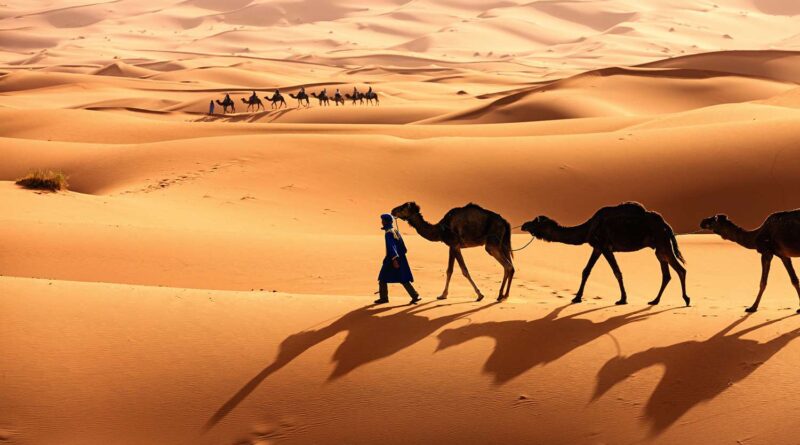 Desert