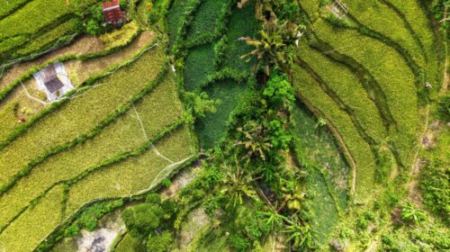 Sustainable Travel Destinations 2026 — Sustainable Travel Destinations 2026: Essential Guide — Photo by Tom Fisk on Pexels