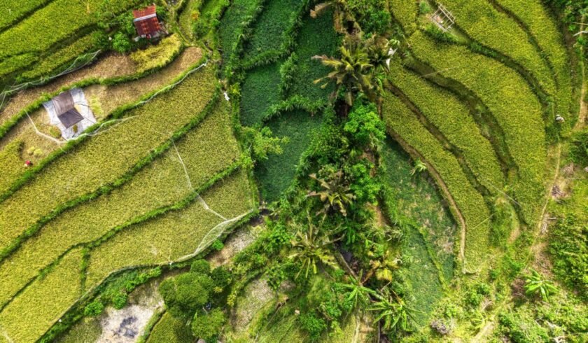 Sustainable Travel Destinations 2026 — Sustainable Travel Destinations 2026: Essential Guide — Photo by Tom Fisk on Pexels