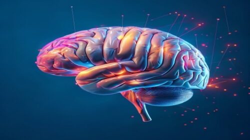 AI neural networks beginner's guide 2026 — AI Neural Networks Beginner's Guide: Simple Intro 2026