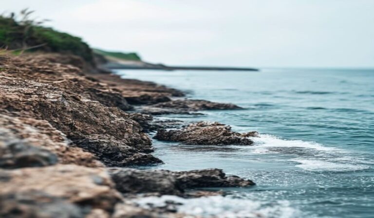 Understanding Coastal Erosion Guide 2026 — Understanding Coastal Erosion: Essential 2026 Guide