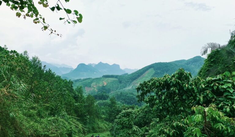 Emerging Ecotourism Destinations 2026 — Emerging Ecotourism Destinations 2026: Top 5 Picks — Photo by Percy Jackson on Pexels