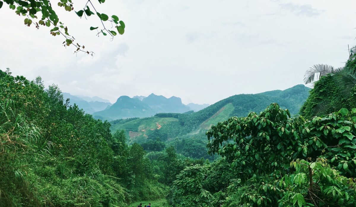 Emerging Ecotourism Destinations 2026 — Emerging Ecotourism Destinations 2026: Top 5 Picks — Photo by Percy Jackson on Pexels