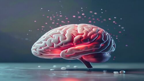 Evidence-Based Nootropics for Focus — Evidence-Based Nootropics: Top 5 for Focus in 2026