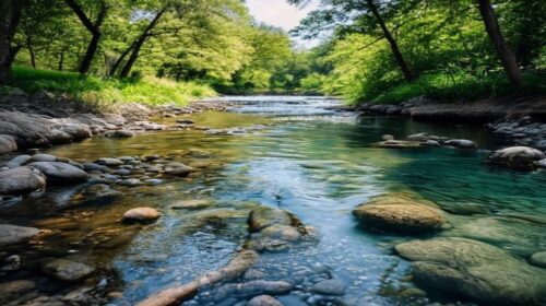 river ecosystems beginner's guide 2026 — River Ecosystems Beginner's Guide 2026: Complete Understanding