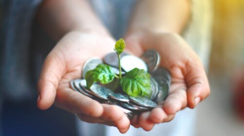 Top 5 Sustainable Investing Options 2026 — Top 5 Sustainable Investing Options 2026: Ethical Growth — Photo by Akil Mazumder on Pexels