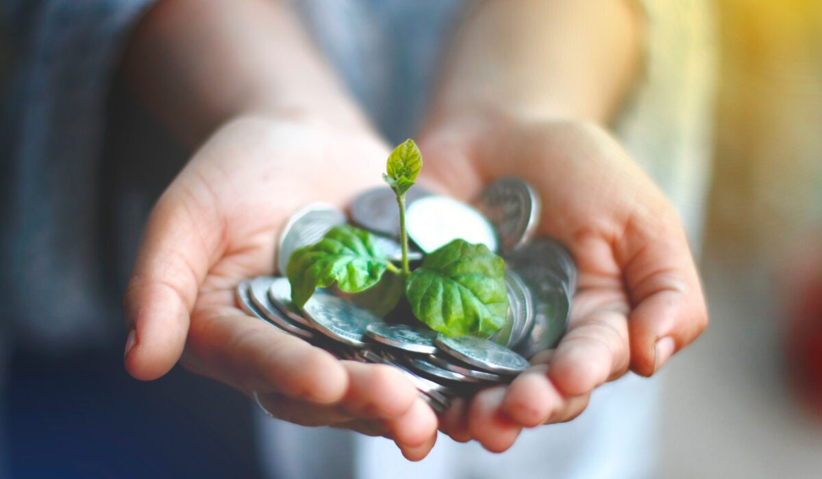 Top 5 Sustainable Investing Options 2026 — Top 5 Sustainable Investing Options 2026: Ethical Growth — Photo by Akil Mazumder on Pexels