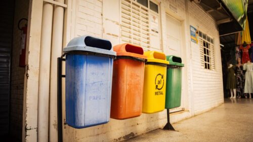 Top 5 Sustainable Marketing Strategies 2026 — Top 5 Sustainable Marketing Strategies 2026: Essential — Photo by Guilherme Pedrosa on Pexels